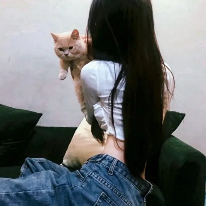 哪里是回家的路