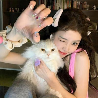 儿女英雄传